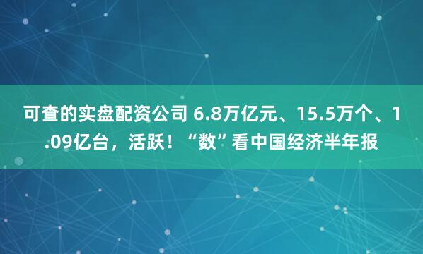 可查的实盘配资公司 6.8万亿元、15.5万个、1.09亿台，活跃！“数”看中国经济半年报