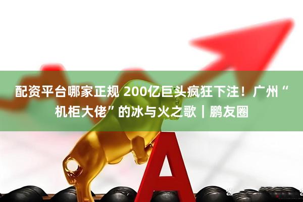 配资平台哪家正规 200亿巨头疯狂下注！广州“机柜大佬”的冰与火之歌｜鹏友圈