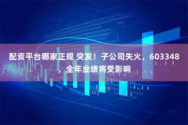 配资平台哪家正规 突发！子公司失火，603348，全年业绩将受影响